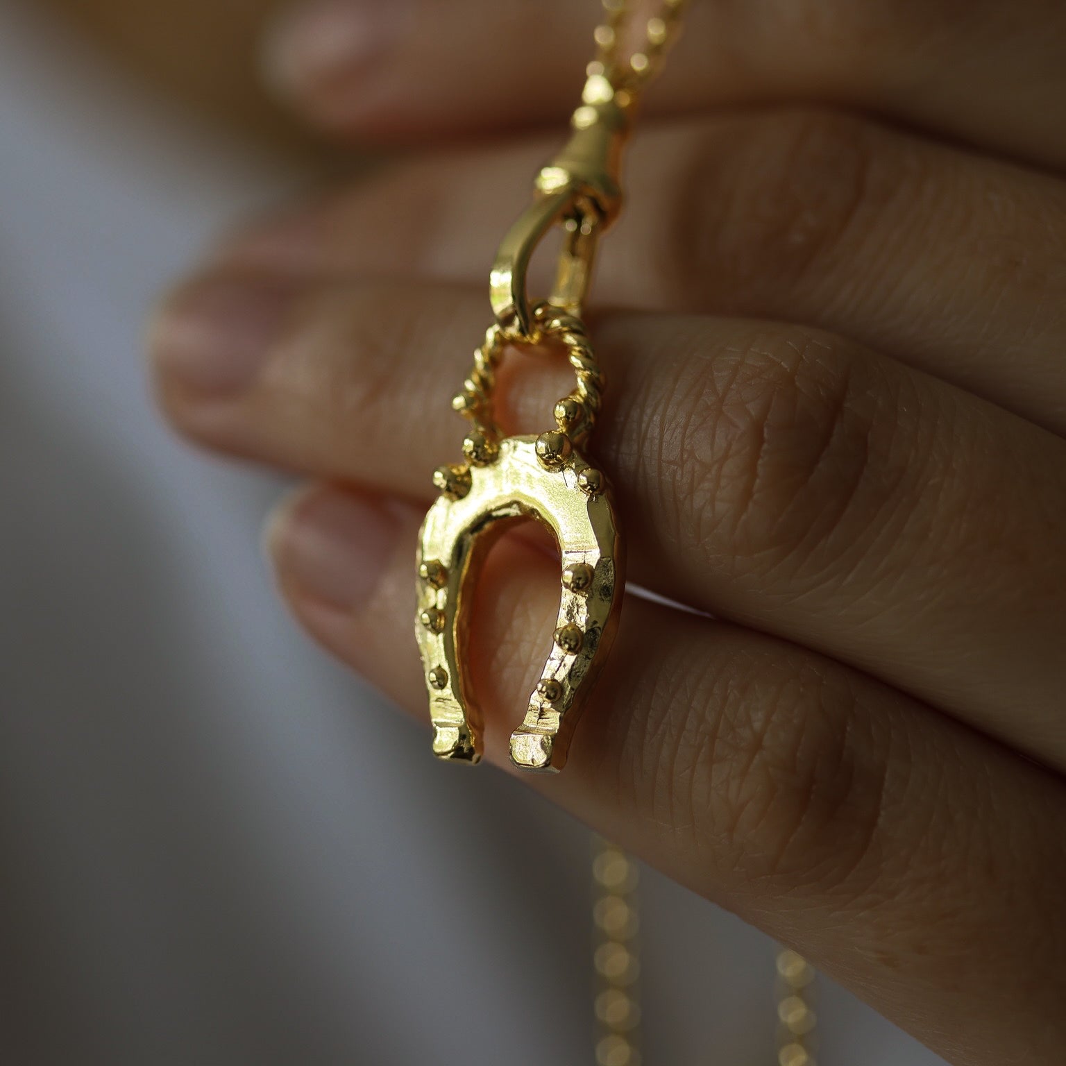 Lovely Lucky Horseshoe