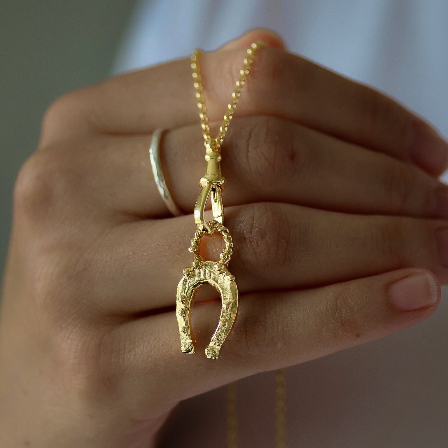 Lovely Lucky Horseshoe