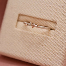 Load image into Gallery viewer, A TINY GALAXY