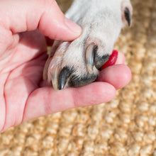 Load image into Gallery viewer, Everlasting Fingerprints