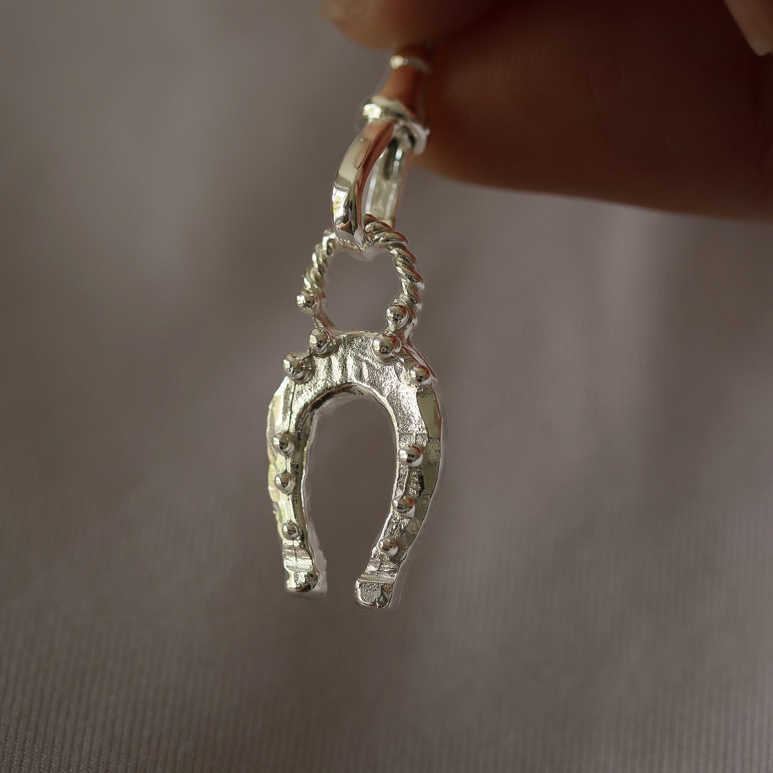 Lovely Lucky Horseshoe
