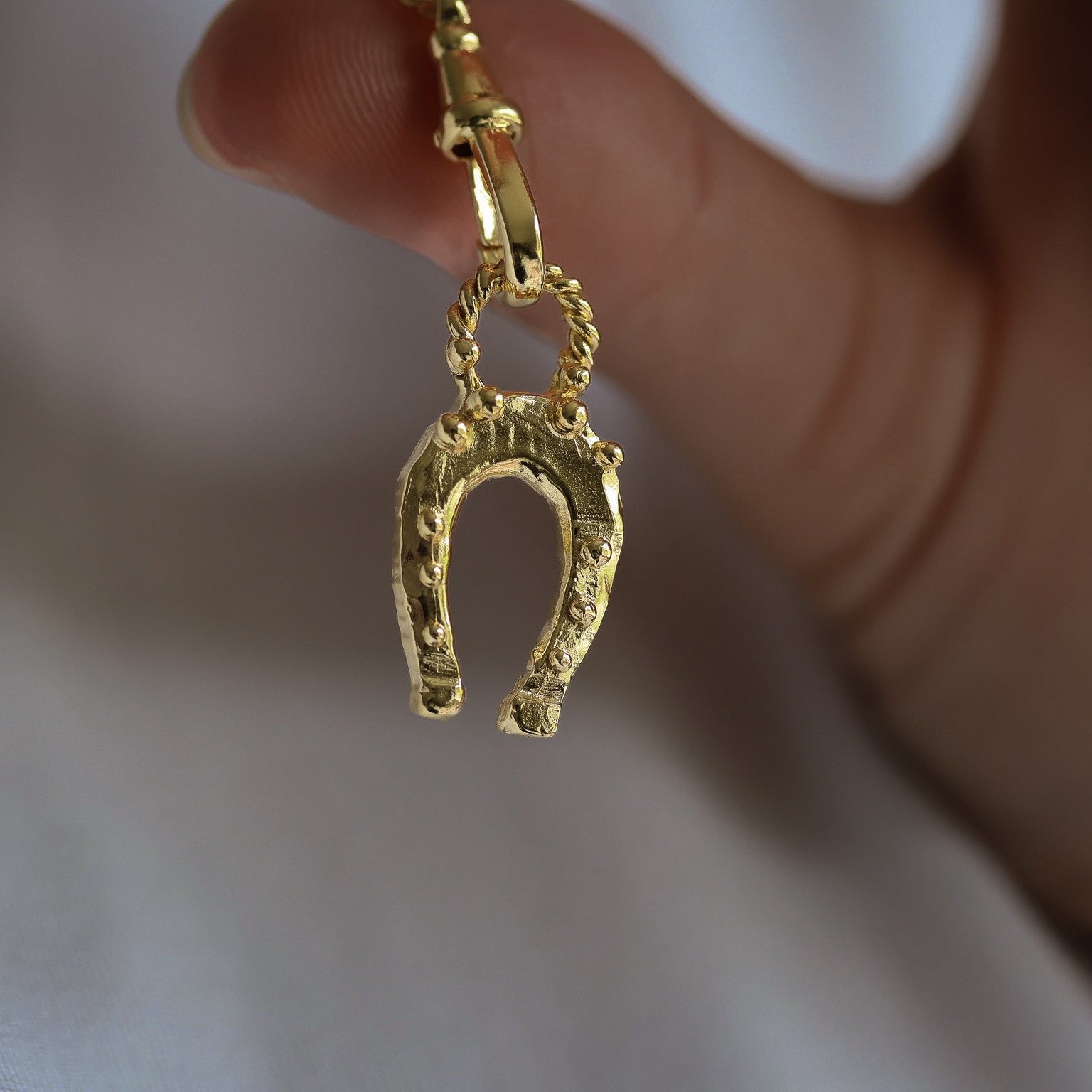 Lovely Lucky Horseshoe
